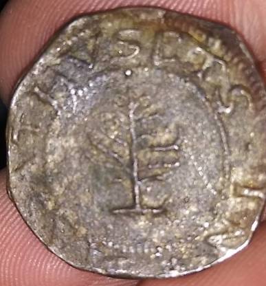 1652-Pine-Tree-Shilling-Real-Or-Fake